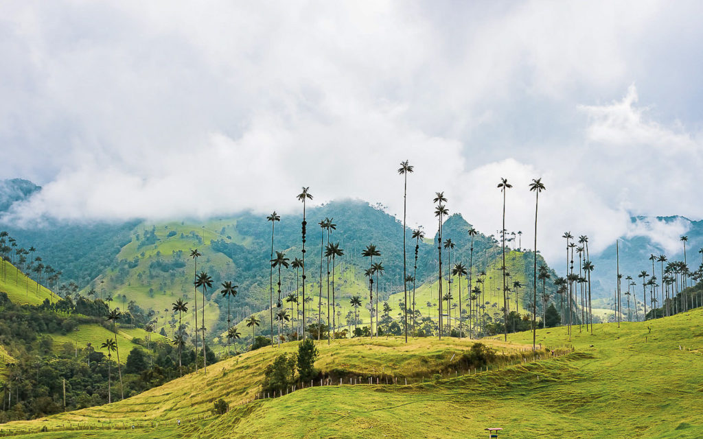 natale in Colombia