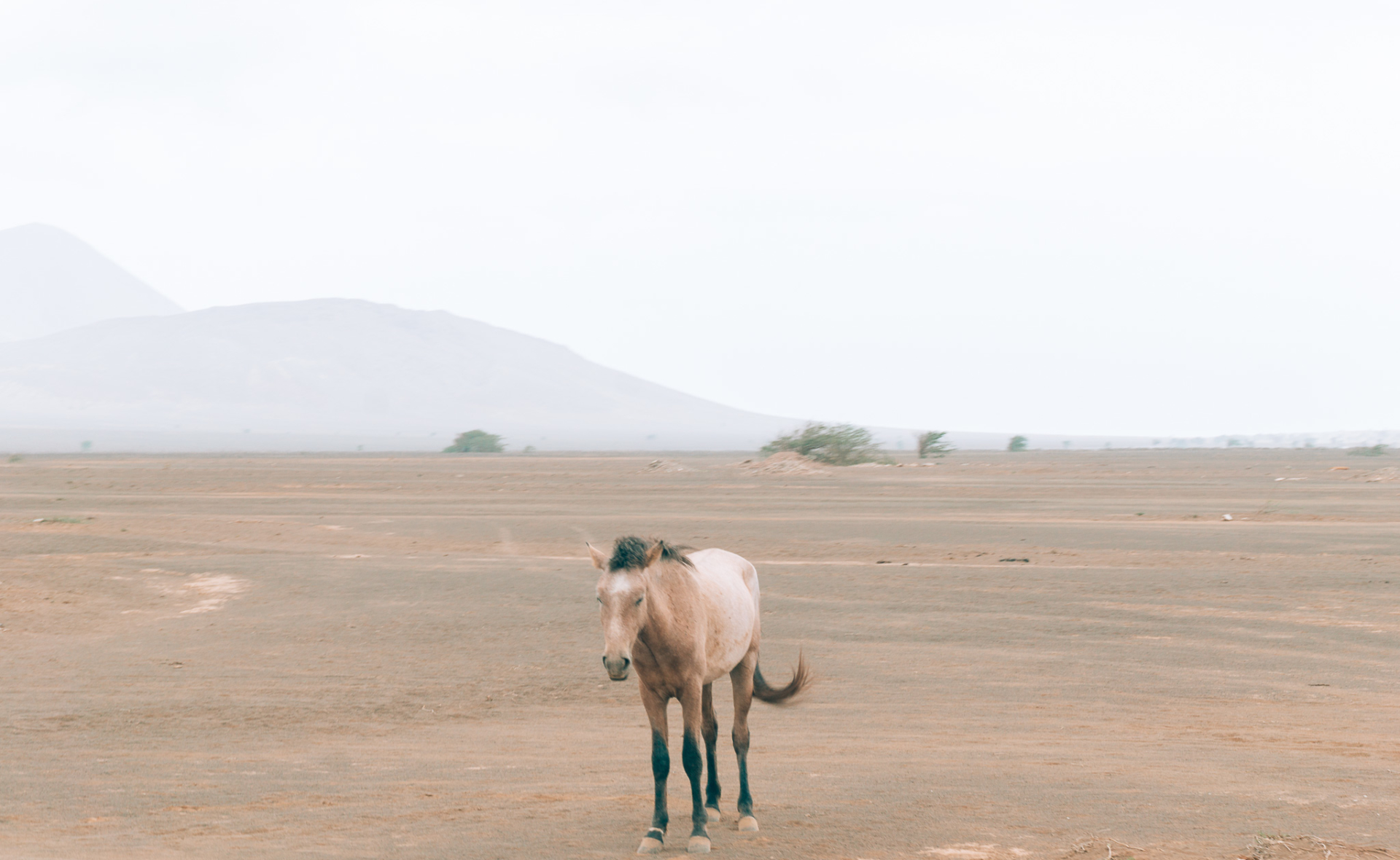 travel_psych_Capo_verde_sal_africa_36-4